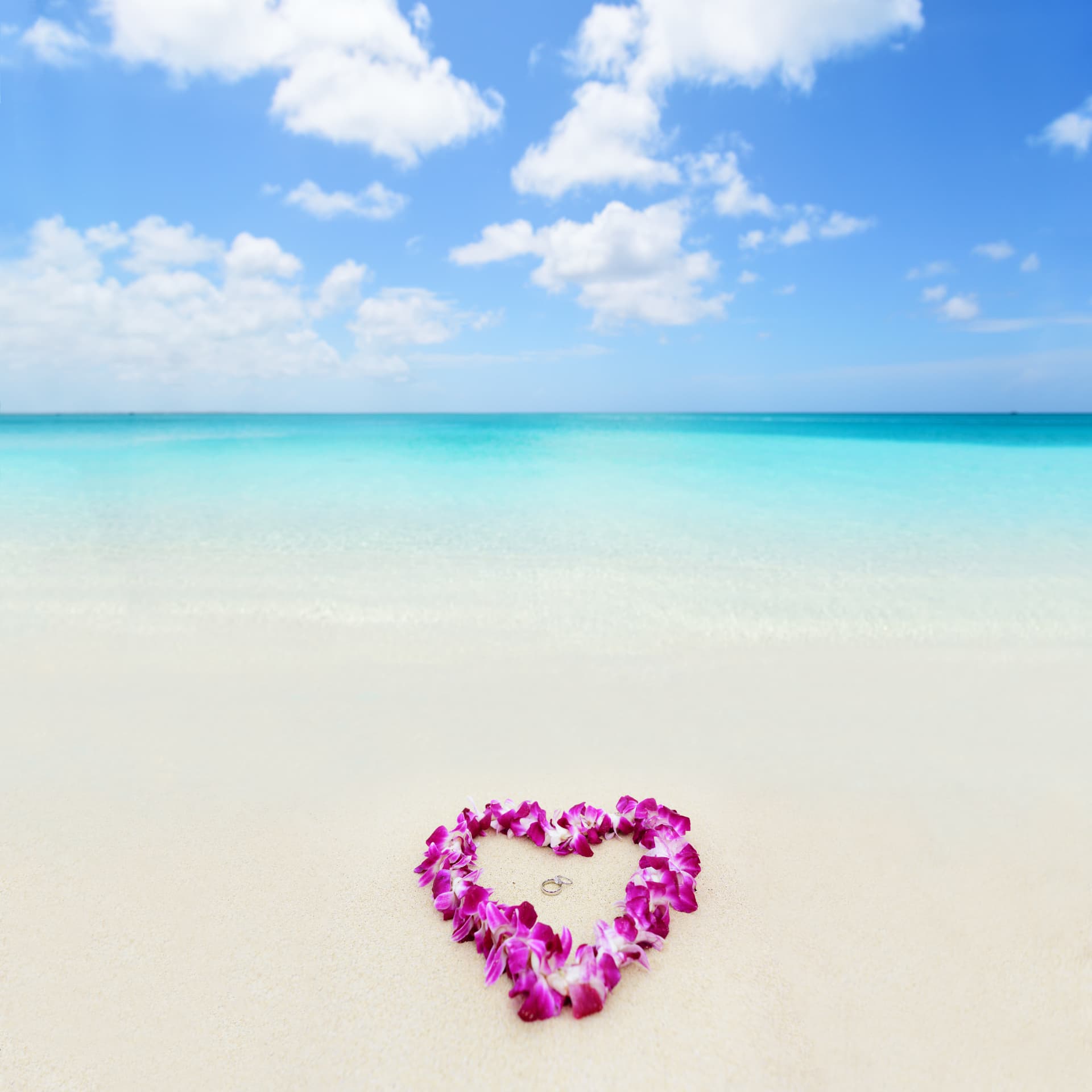 A heart-shaped orchid lei on white sand with wedding rings at its center and turquoise ocean behind